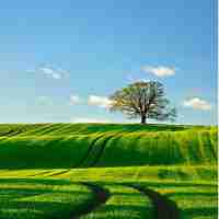 智‌能﻿算﻿法‍成﻿“破﻿题‍”关﻿键‍